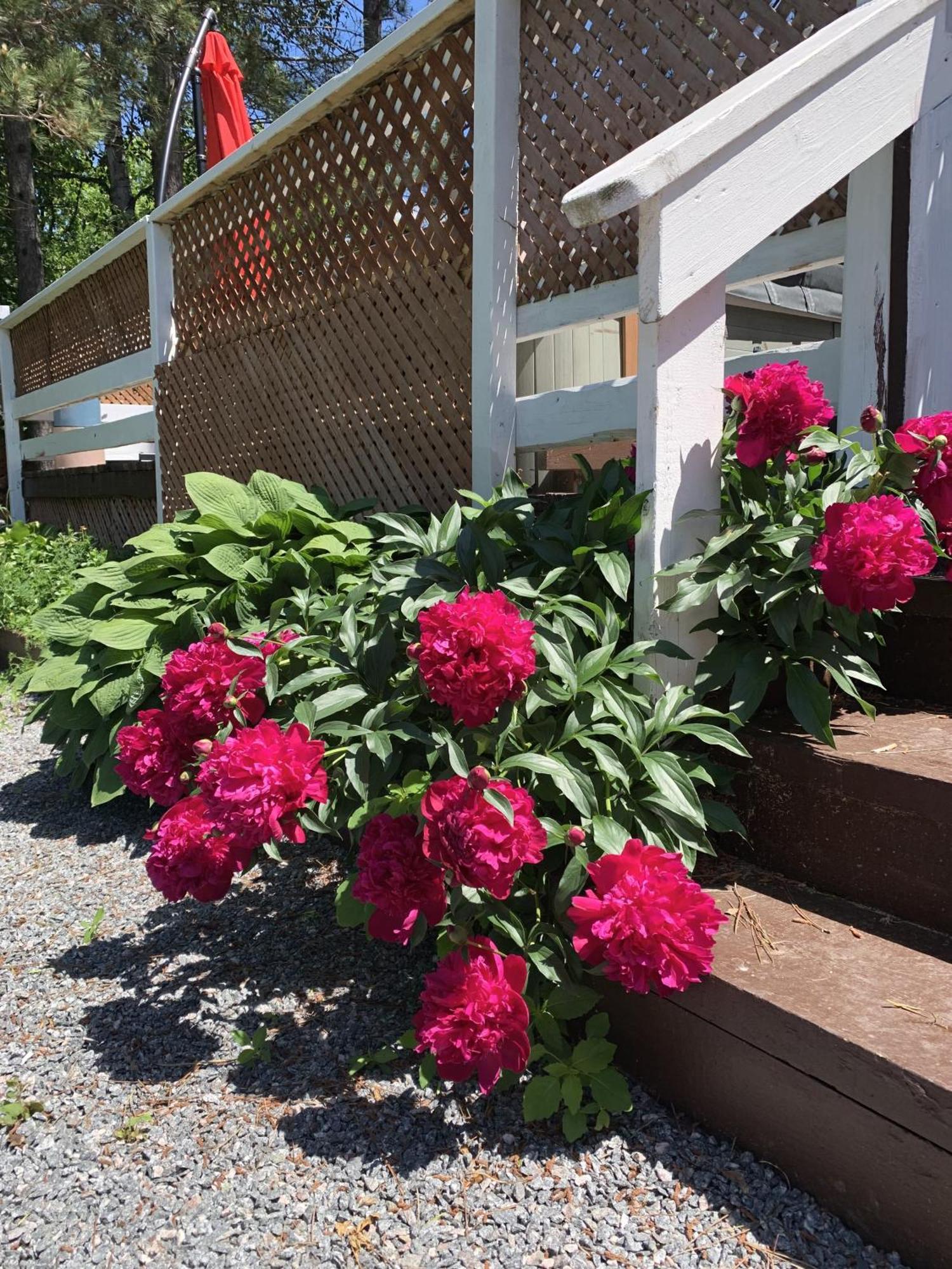 Auberge De Ferme-Neuve Lac-Saint-Paul Екстериор снимка