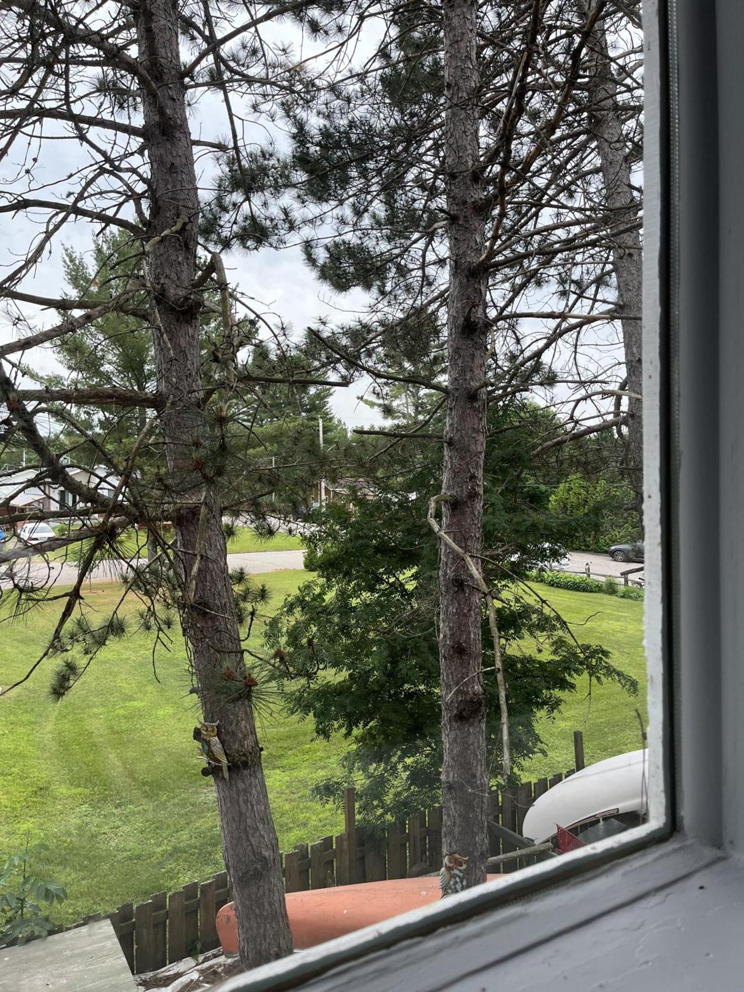 Auberge De Ferme-Neuve Lac-Saint-Paul Екстериор снимка